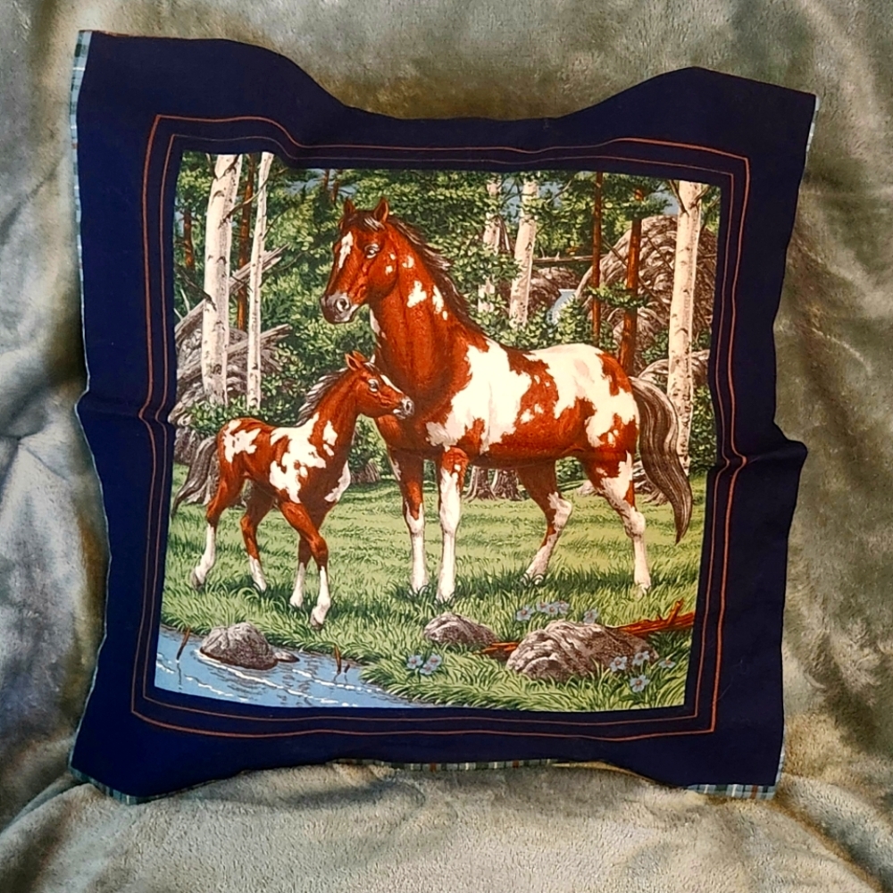 Throw Pillow
